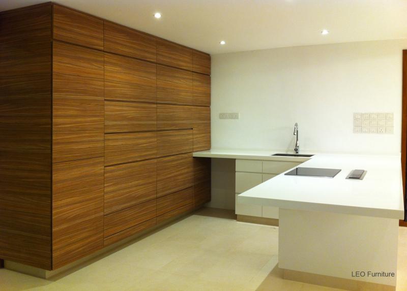 Leo Furniture & Construction Home